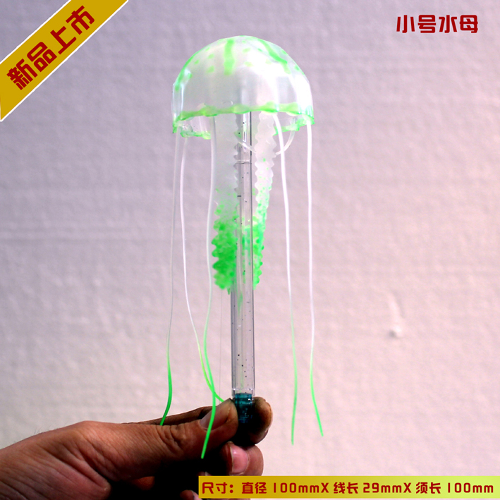 小號水母